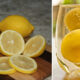 lemons_feature