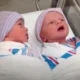 newborn_twins_ftd