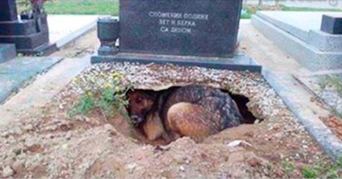 grave-2