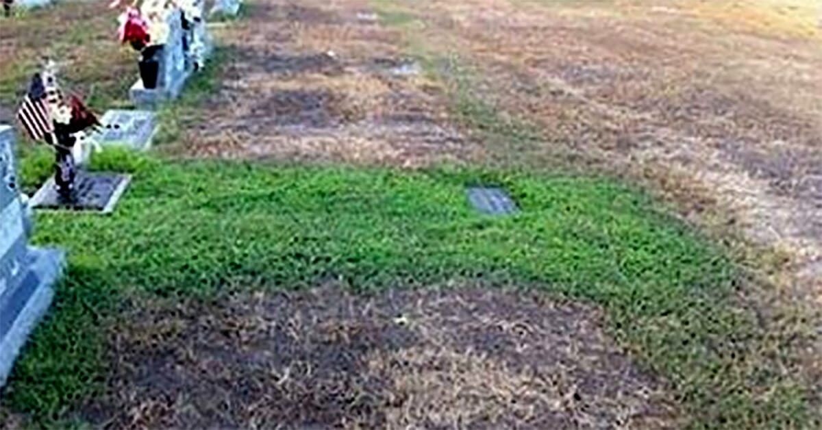gravestone