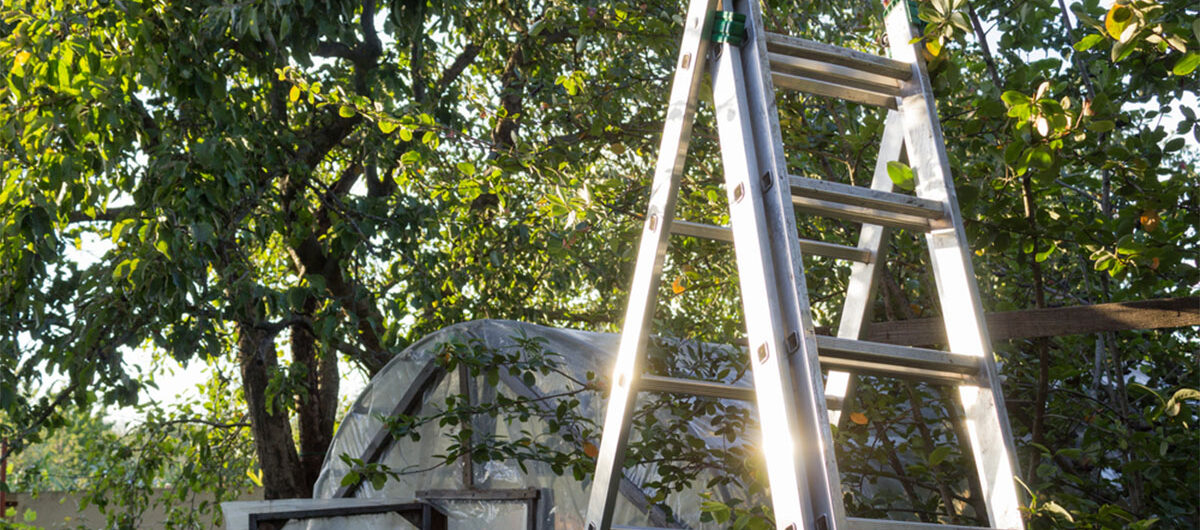 ladderinthegardengardeningconcept