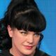 pauley-perrette2-fi-1201x530