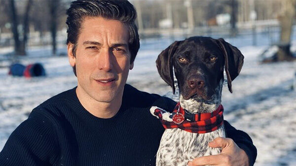 David Muir