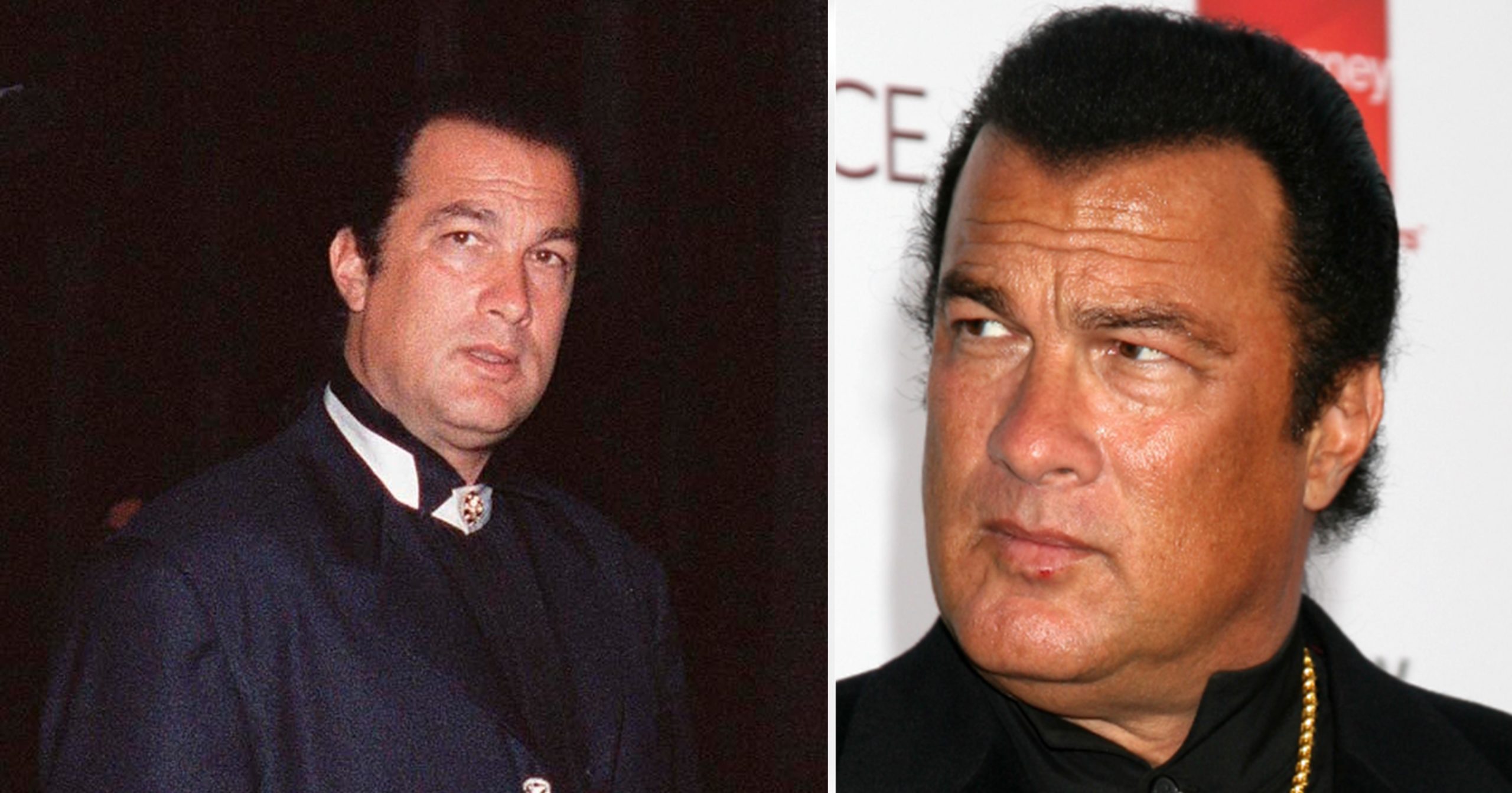 stevenseagal-scaled